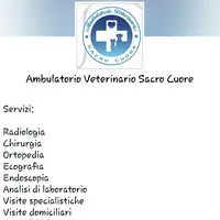 Ambulatorio Veterinario Sacro Cuore d.ssa Zampieri