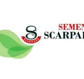Sementi Scarparo
